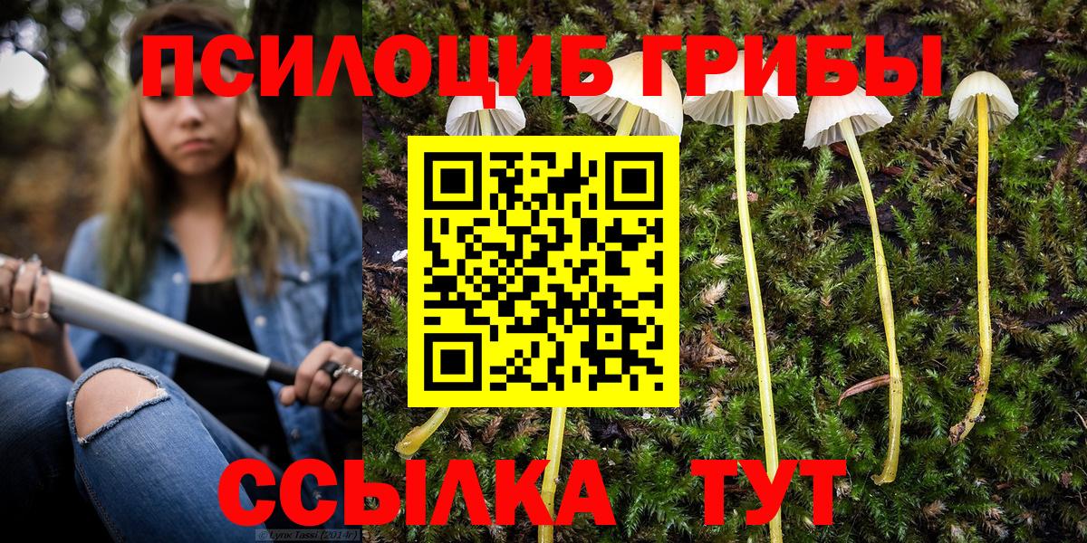 Галлюциногенные грибы мухоморы  купить наркоту  Пугачёв  Вход с VPN 